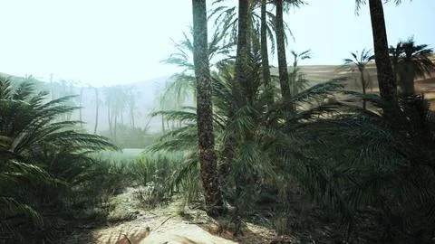 Palm trees in the desert Stock Illustration