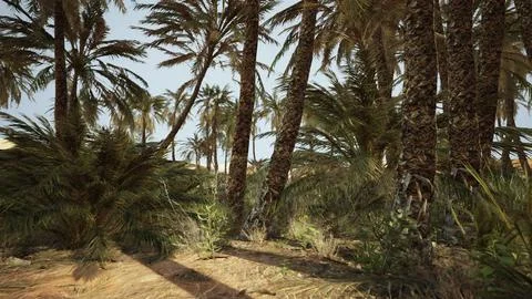 Palm trees in the desert Stock Illustration