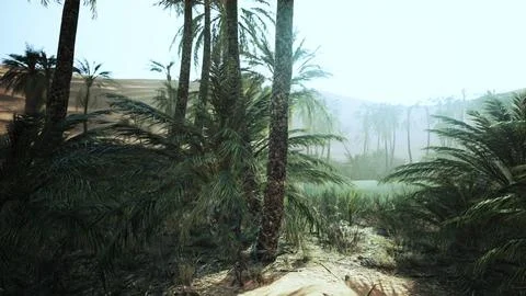 Palm trees in the desert Stock Illustration