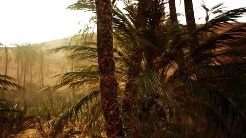 Palm trees in the desert Stock Illustration