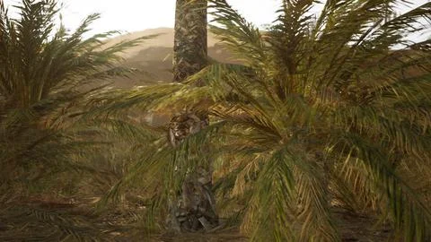 Palm trees in the desert Stock Illustration