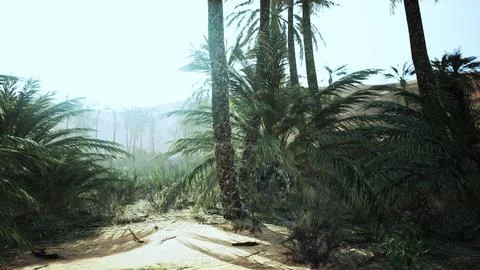 Palm trees in the desert Stock Illustration