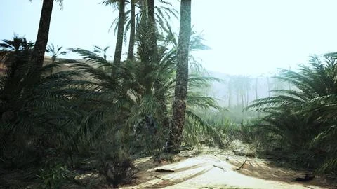 Palm trees in the desert Stock Illustration