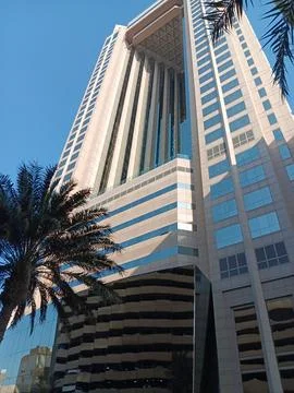 Palm trees in Dubai. Exotic features of nature. Stock Photos