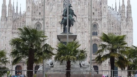 Palm trees in duomo Stock Footage 73115353