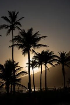 Palm trees during the sunset over Ipanema Beach in Rio de Janeiro Brazil Stock Photos