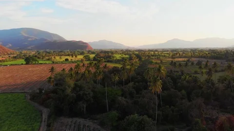 Palm Trees Edge Farming Plot with Mountain Range on Horizon Vídeos de archivo 120248837