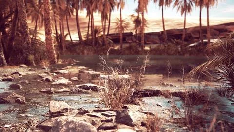 Palm trees flourish around a pool of water at a park in Palm Desert Stock-Illustration