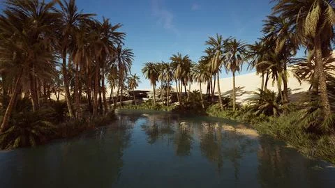 Palm trees flourish around a pool of water at a park in Palm Desert Stock Illustration