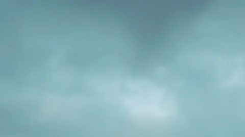 Palm Trees 動画素材 5628485