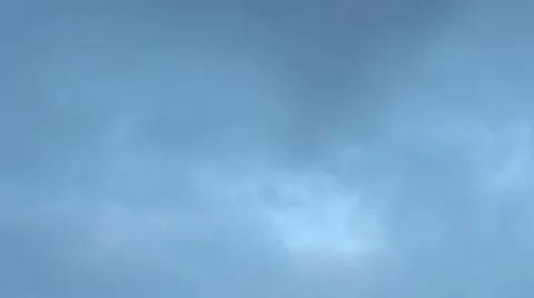 Palm Trees 動画素材 5629344