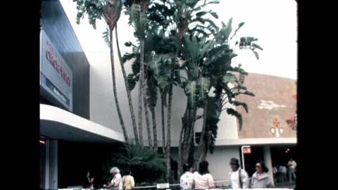 Palm trees Stock Footage 276289771