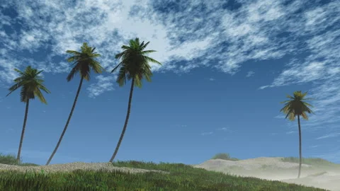 Palm trees 스톡 동영상 286877386