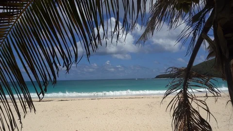 Palm trees frame a breathtaking beach Stock Footage 105871275