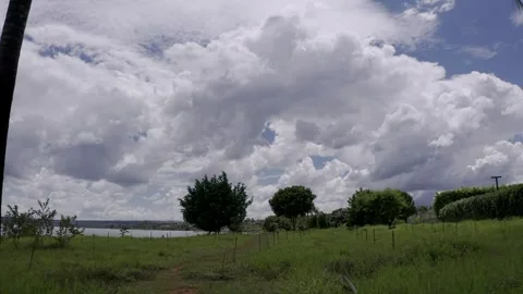 Palm trees frame Lake Paranoa and the Juscelino Kubitschek Bridge under Stock-Footage 345079971