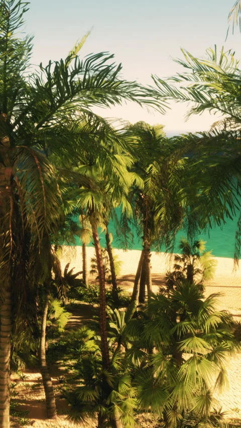 Palm trees frame a sunny beach scene with clear blue water in the background Stock Footage 342185145