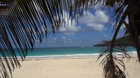 Palm trees frame a tropical beach Stock Footage 105871283