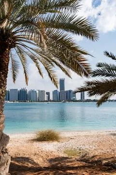 Palm trees framing abu dhabi skyline from beach on sunny day Stock Photos