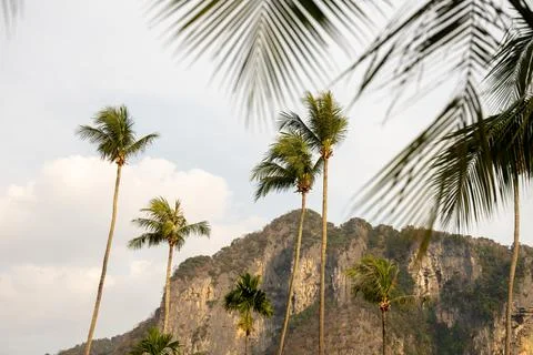 Palm trees framing limestone mountains in tropical Thailand Stock Photos