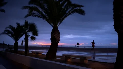 Palm trees framing a tranquil beach promenade at dusk in Sanlucar de Barrameda Stock Footage 329274452