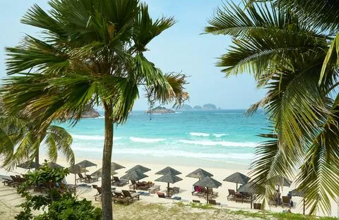 Palm trees framing tranquil beach scene in redang island, malaysia Stock Photos