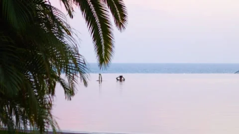 Palm trees framing a tranquil horizon with distant figures in the water, cr.. Stock Footage 286365974