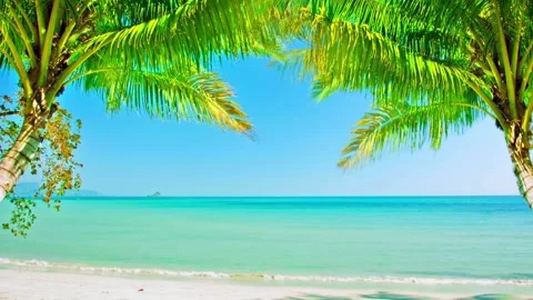 Palm trees framing a tropical beach at sunset Video stock 336399742