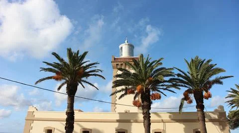 Palm Trees in front of a lighthouse, Morocco. Stock Photos