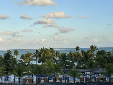 Palm trees in front of the ocean Foto stock