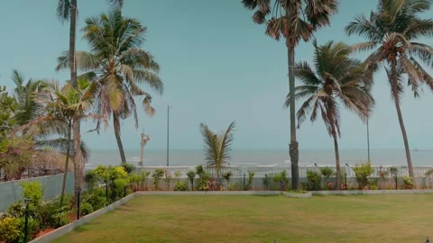 Palm trees in garden facing beach on sunny day tropical landscape 库存影片 332920743