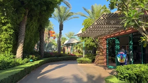 Palm trees in the garden, landscape Stock Footage 276321680