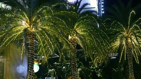 Palm trees glowing with string lights at night Video stock 336099582