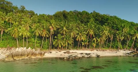 Palm trees growing on Koh Samui Island, Thailand, aerial view Stockfoto's