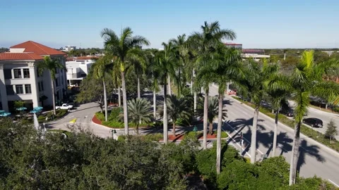 Palm Trees Horizontal Pan Left - Aerial Stock-Footage 202319456