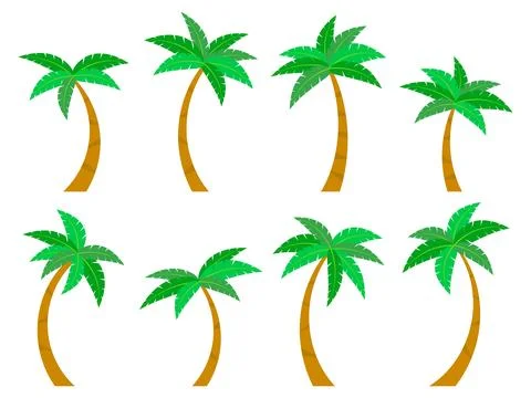 Palm trees icon set isolated on white background. Collection of tropical pa.. Illustrazione stock
