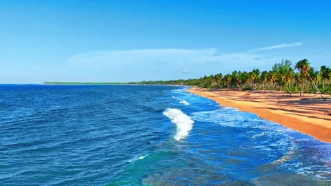 Palm trees on idyllic tropical beach with crystal clear water. Stock Footage 299360255