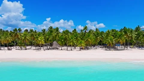Palm trees on an idyllic tropical beach with crystal clear water. 스톡 동영상 340304798