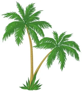 Palm trees Illustrazione stock