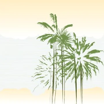 Palm trees Illustrazione stock
