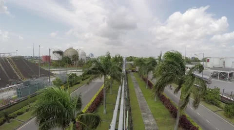 Palm Trees In Industrial Zone Stock Footage 64272590
