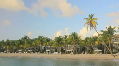 Palm trees at the island beach Video stock 8921600
