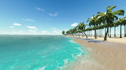 Palm trees on island Video stock 21468455