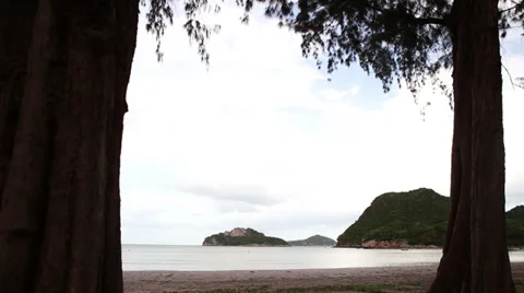 Palm trees with islands in the background Stock Footage 29923796