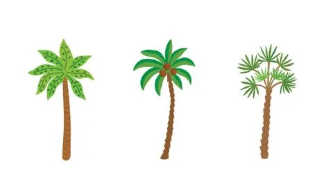 Palm trees isolated on white background. Beautiful vectro palma tree set Stock Illustration
