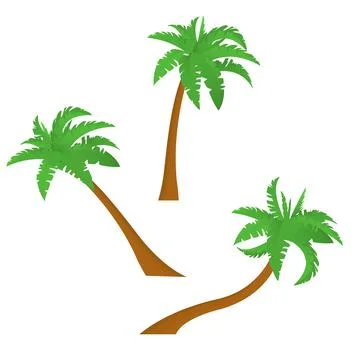 Palm trees isolated on white background. Vector illustration Illustrazione stock