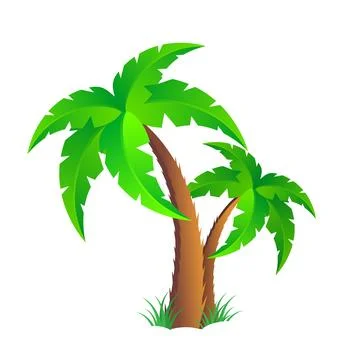Palm trees isolated on white background. Beautiful vector palm tree set vecto Stock Illustration
