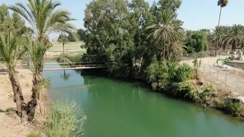 Palm trees at the Jordan River Stock Footage 145467012