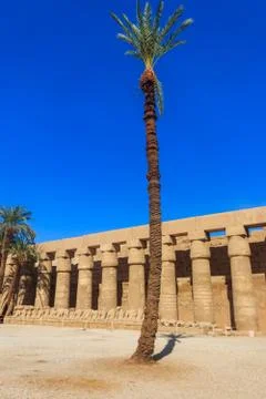 Palm trees in Karnak temple complex in Luxor, Egypt Stock Photos