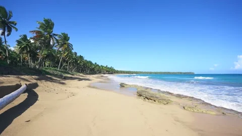 Palm trees on a large sunny beach with clear Caribbean Sea on a tropical island. Stock Footage 249590191