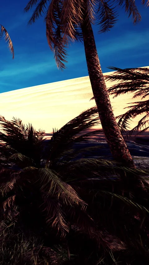 Palm trees lean over rock formations near a sandy beach and blue sky Stock Footage 337938593